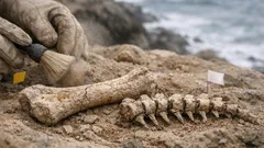 New dinosaur fossils in Victoria may rewrite who ruled Australia’s Early Cretaceous coast